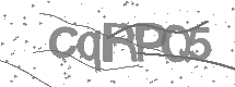 visual captcha